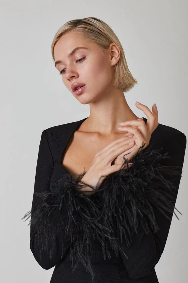 Feather Long Sleeve Bustier Dress - Image 11